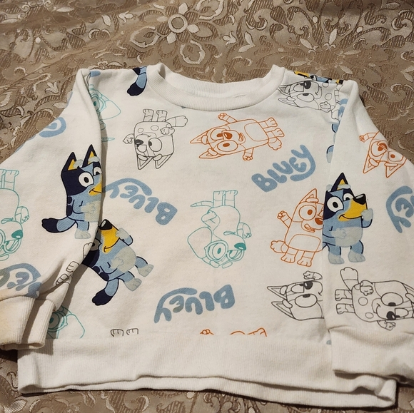 Bluey Other - Bluey Sweatshirt Shirt Toddler 4T
